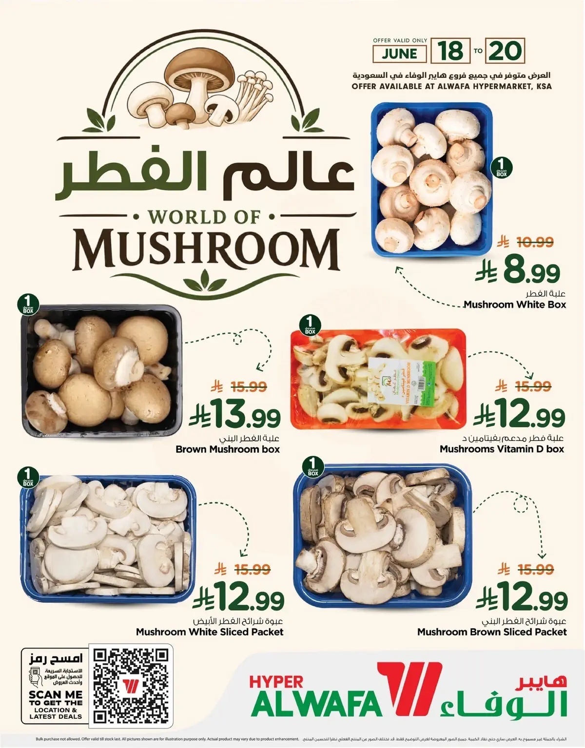 WORLD OF MASHROOM