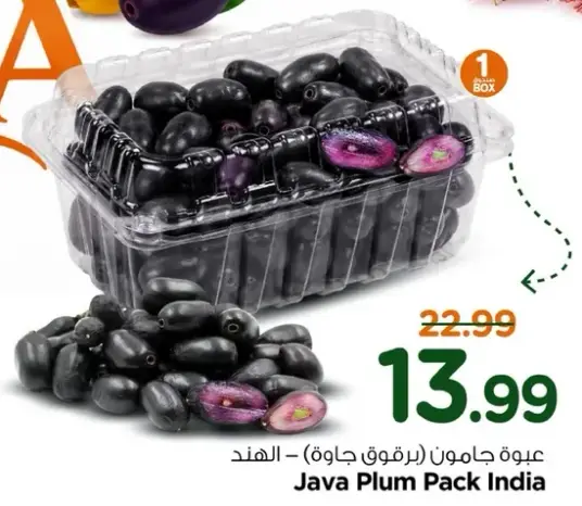 Java Plum Pack India