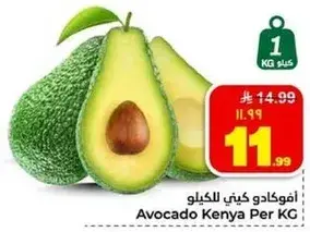 افوكادو كيني للكيو