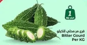 قرع مر محلي للكيلو