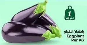 باذنجان للكيلو