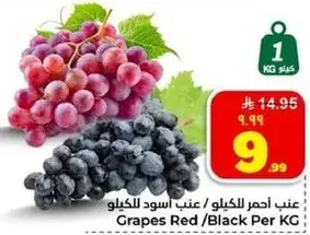 عنب احمر/اسود للكيو