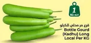 قرع مر محلي للكيو