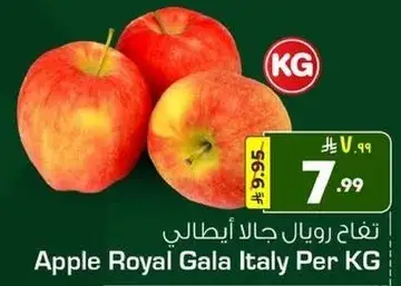 تفاح رويال جالا ايطالي
