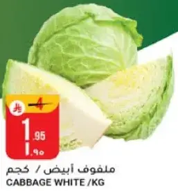 ملفوف ابيض / كجم
