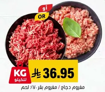 مفرووم دجاج / مفرووم بقري