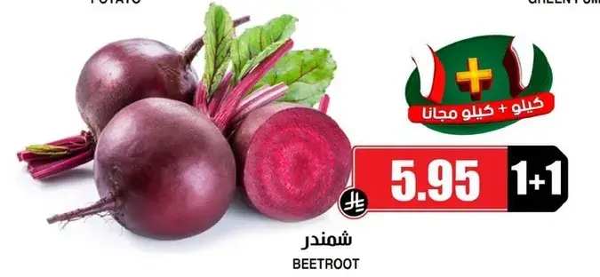 شمندر