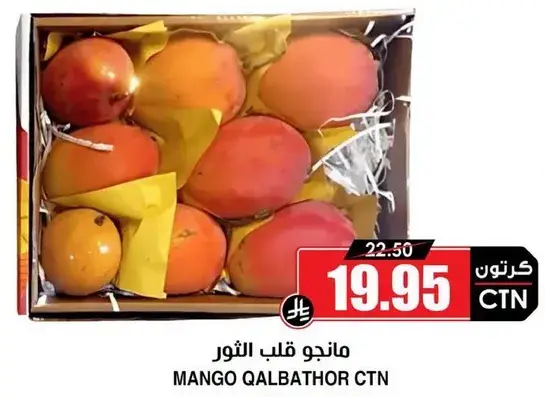 Mango Qalbathor CTN