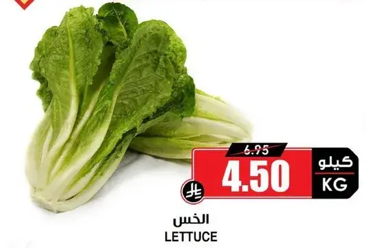 الخس