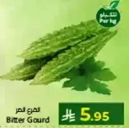 قرع مر