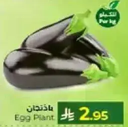 باذنجان