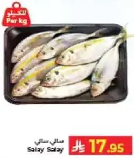 سمك سلاي سلاي