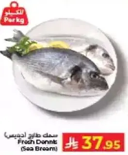 سمك دنيس طازج
