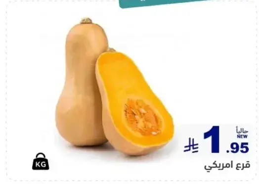قرع امريكي.
