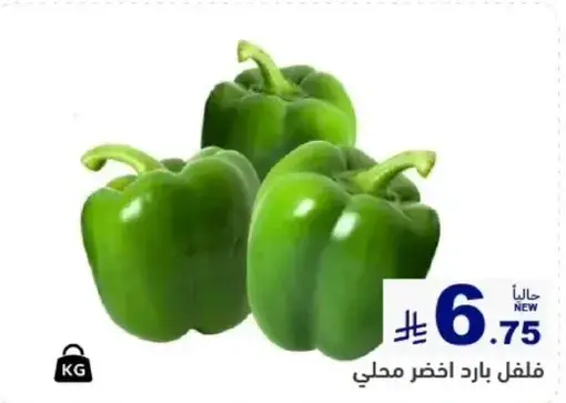 Fresh local green bell peppers