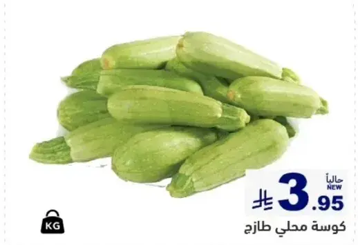 Fresh local zucchini