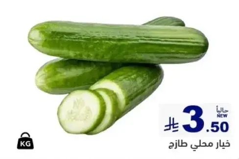 Fresh local cucumbers