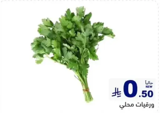 ورقيات محلي