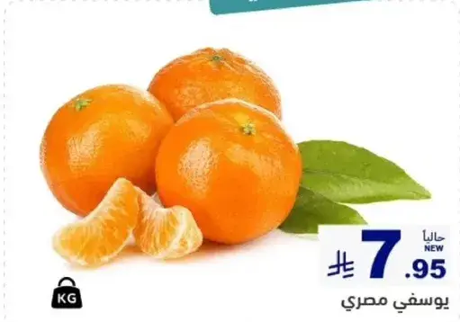 يوسفي مصري