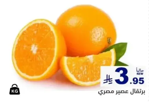 برتقال عصير مصري