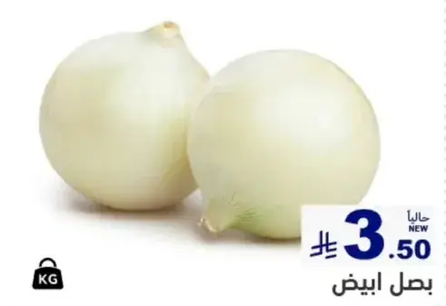 بصل ابيض