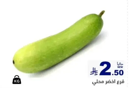 قرع اخضر محلي