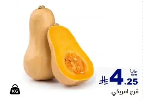قرع امريكي