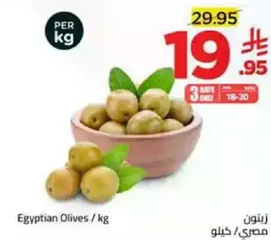 زيتون مصري / كغ