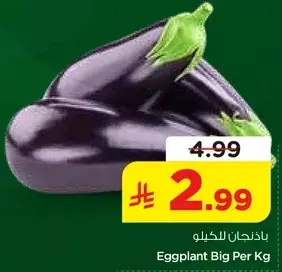 باذنجان للكيلو