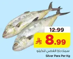 سمك بارا الفضي للكيلو