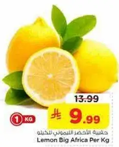 حقيبه الحامض الكبير للكيله