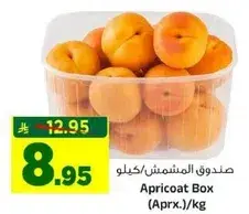 Apricot Box (Aprx.)/kg