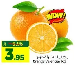 برتقال فالنسيا /كيلو