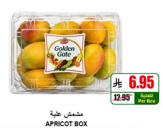Apricot Box