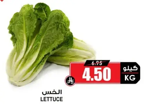 الخس