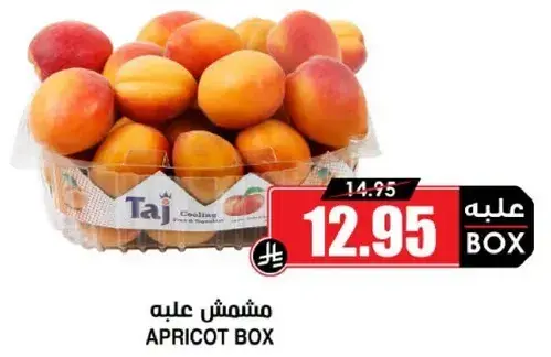 مشمش عليه