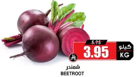 شمندر