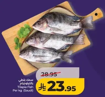 سمك بلطي بالكيلو جرام