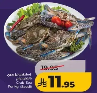 سلطعون بحر بالكيلو جرام