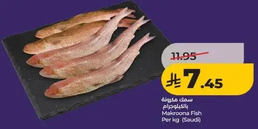 سمك مكرونه بالكيلو جرام