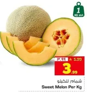 شمام للكيلو