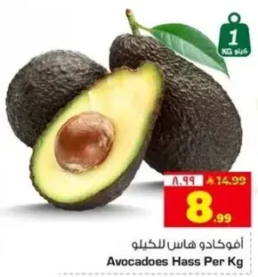 افوكادو هاس للكيلو