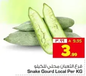 قرع الغبيان محلي للكيلو
