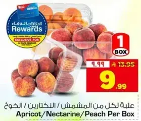 علبه لكل من المشمش / النكتارين / الخوخ