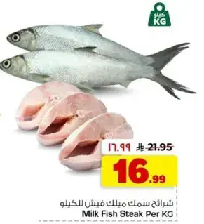 سمك ملبن عيش للكيلو