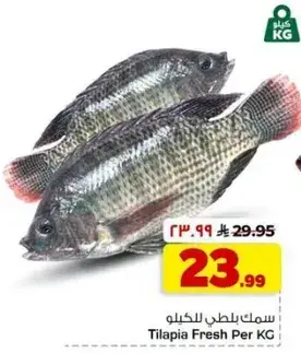 سمك بلطي للكيلو