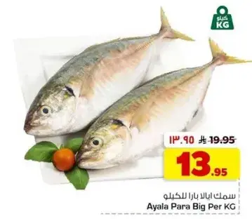 سمك الايلا بارا للكيلو