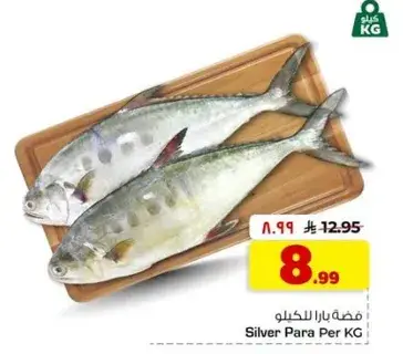 سمكه بارا للكيلو
