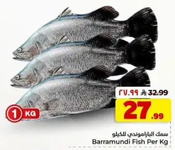 سمك الباراموندي للكيلو