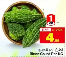 قرع المر للكيو